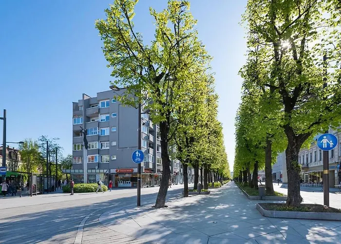 דירה 2 Bd By Hostlovers קובנה